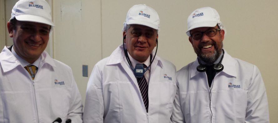 Blumar impone sello de innovación a su nueva planta procesadora de salmones